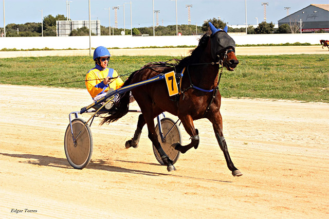 Gwndoline Sas-Penya Es Trepassers