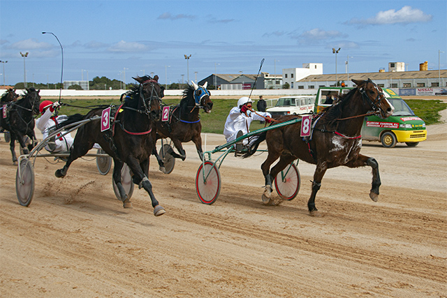 Carreras Trot Mô 14-2-21-volcan de belaise (8) y Falucho M (3)