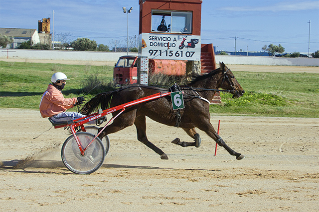 Carreras Trot Mô 31-1-21