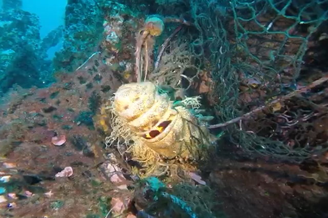 Cigala morta a una 'xarxa fantasma' del Malakoff