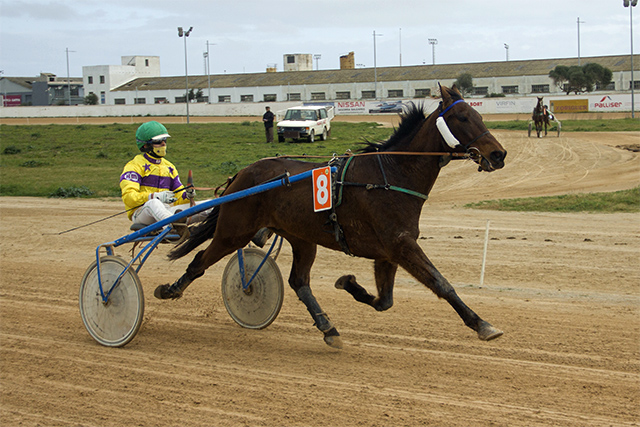 Joan Pons con Bon Riezais Trot Mô 7-2-21