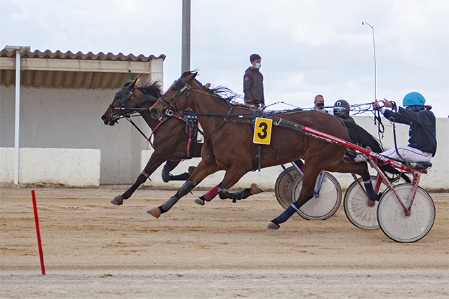 Carreras Trot Mô 21-3-21-Holly Black por el exterior y Bella de Magia en el interior
