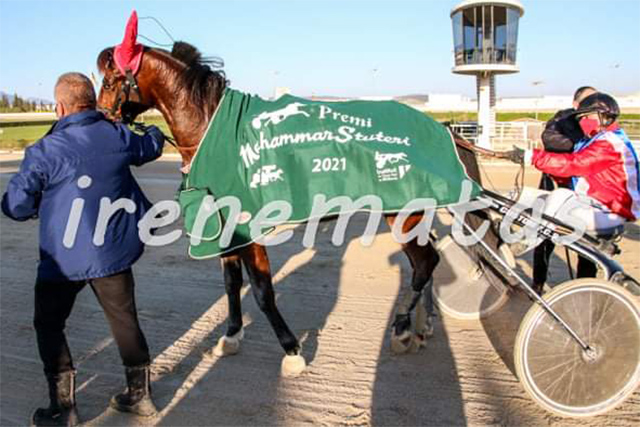 Instint de Clide gana en Son Pardo1