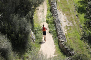 Trail dels Barrancs