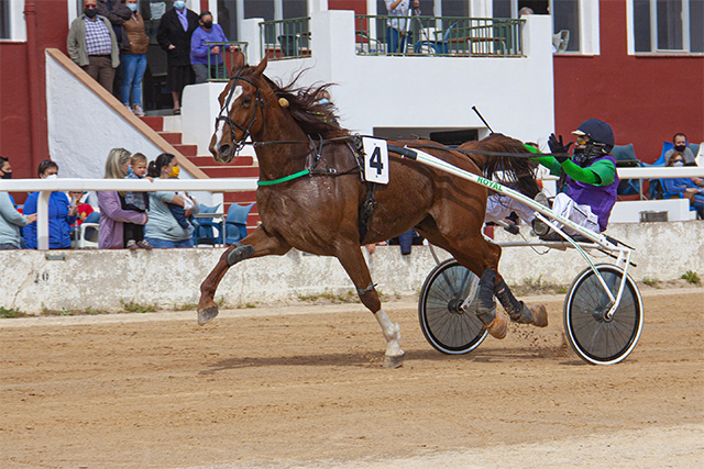 Carreras Trot Mô 11-4-21