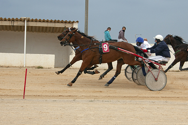 Carreras Trot Mô 23-5-21-Bella de Magia y Indoor Mar JS