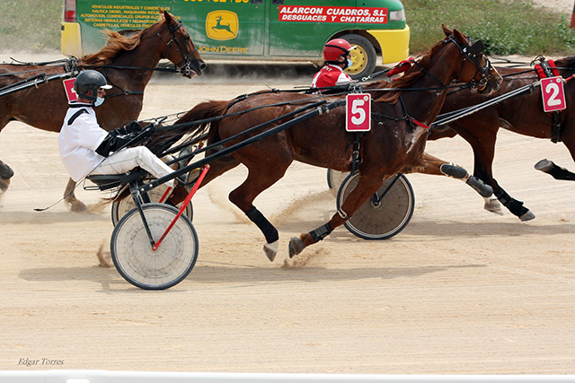 Daisiji d'Orion - A. Gomez F. 30.5.21