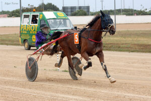 Django Bello (fr) - A. Vaquer 1.5.21