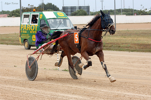 Django Bello (fr) - A. Vaquer 1.5.21