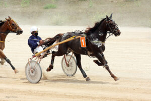 Drac Magic - BC. Pons 30.5.21