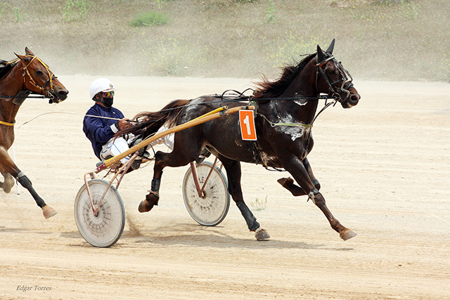 Drac Magic - BC. Pons 30.5.21