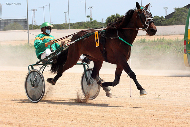 Flor de s'Hort - JA. Catchot 30.5.21