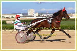 Gran Premi Nacional de trote Son Pardo