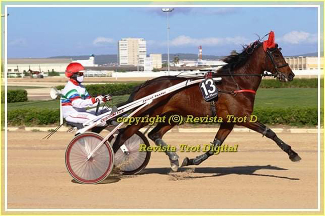 Gran Premi Nacional de trote Son Pardo