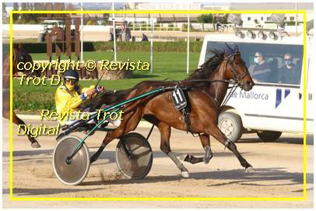 Gwendoline-Son Pardo