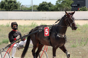 IL Capitano - J. Gomez F. 30.5.21