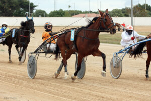 Ice Silver - JA. Gardes 1.5.21