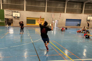 Lliga menorquina badminton