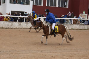 diada mao 1-5-21-Especial minitrote montado