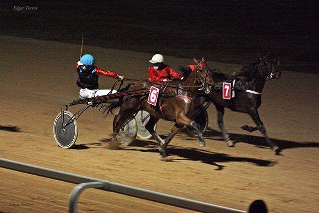 Brot de Lluna - C. Pons J. 18.6.21