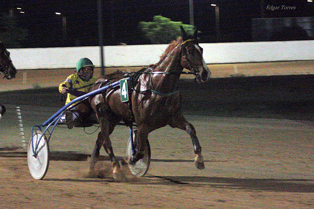 Variuso du Bouffey - G. Pons 18.6.21