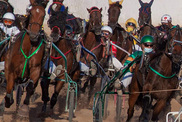 Carreras Trot Ciuta 3-7-21