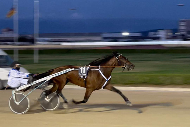 Illa de Flo-Son Pardo