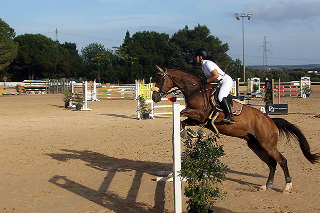 Nacional Saltos obstaculos- Ciutat d'Alaior 2021