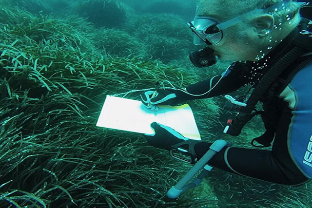 Bussejadors  Nàutic -Obsam control posidònia