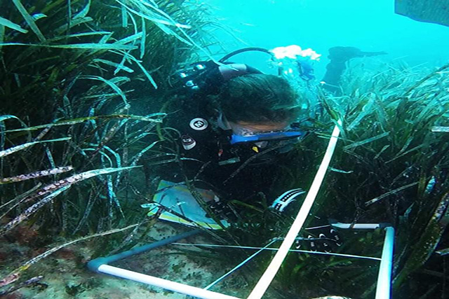 Bussejadors  Nàutic -Obsam control posidònia