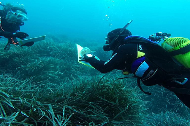 Bussejadors  Nàutic -Obsam control posidònia