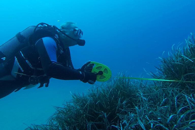 Bussejadors  Nàutic -Obsam control posidònia