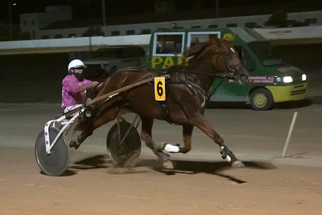 Carreras Trot mao 20-8-21-4