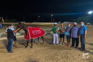 Cuadra Es Pou Florit SL-Son Pardo