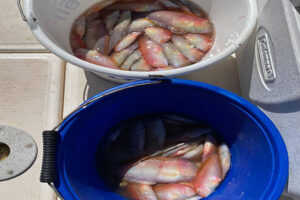 Campionat Social de Pesca de Raors 2021