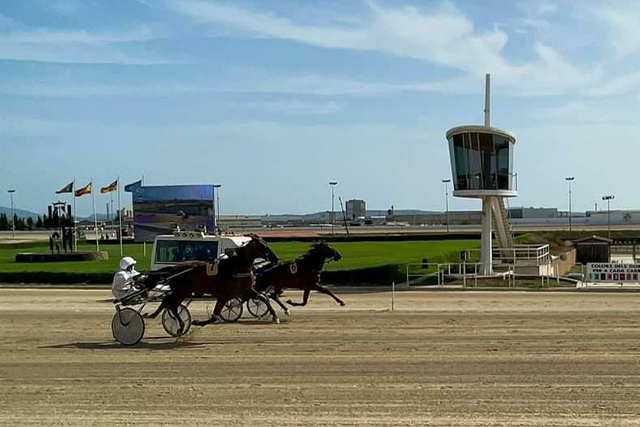 hipodromo Son Pardo-Menorqunines1