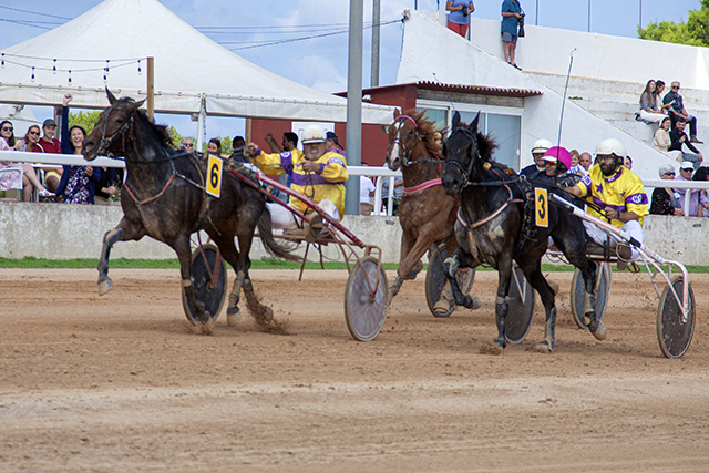 Carreras Trot Mô 10-10-21