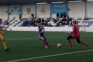 CCE sant Lluis-Pardinyes