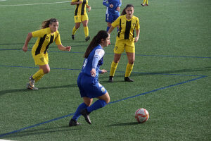 CCE sant Lluis-Pardinyes