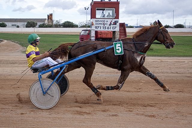 Carreras Trot Mô 31-10-21