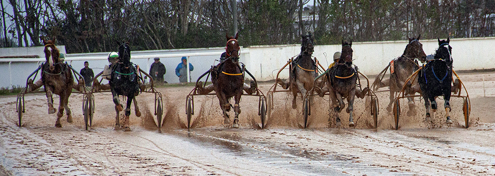 Carreras Trot Mô 7-11-21 Fang