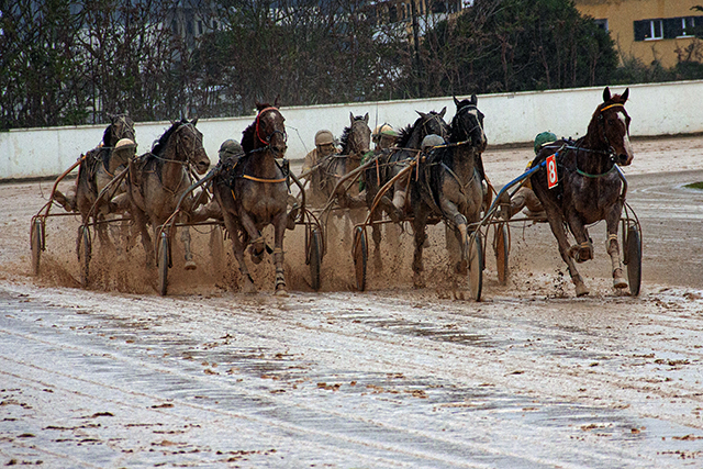 Carreras Trot Mô 7-11-21 Fang