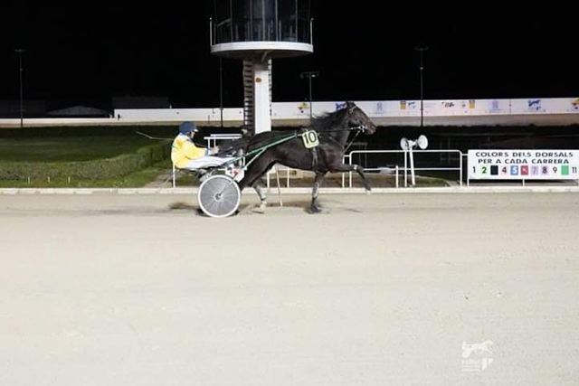 Menorquines en Mallorca