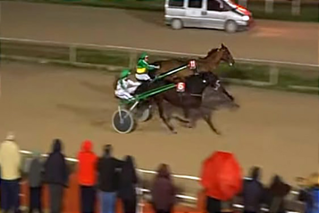 Menorquines en Mallorca