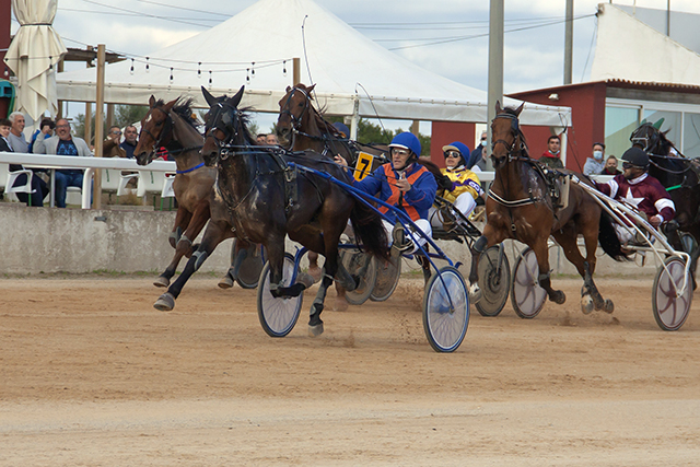 Carreras Trot Mô 19-12-21-9
