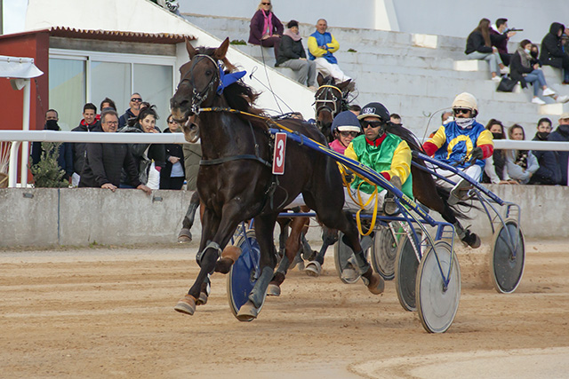 Carreras Trot Mô 5-12-21