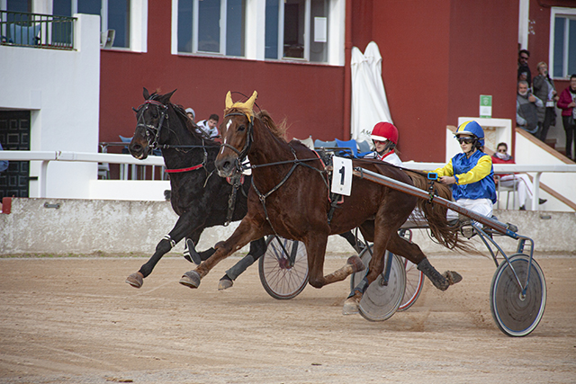 Carreras Trot Mô-Últimos metros especial alevines ( Duccio d'Escafi-Ana Madrid y Falucho M - Ona Mata) 12-12-21-3
