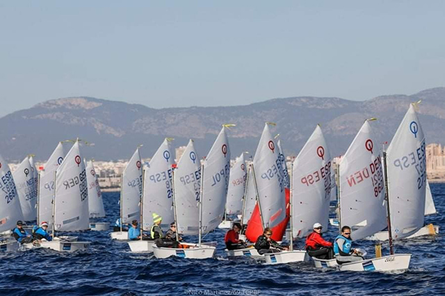 Trofeu Ciutat de Palma ILCA 4