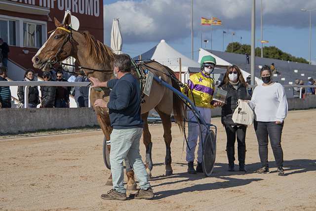 Carreras Trot Mô 16-1-22