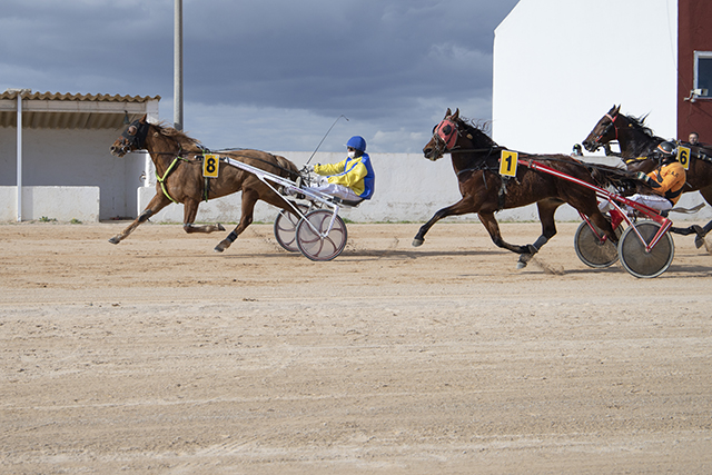 Carreras Trot Mô 23-1-22